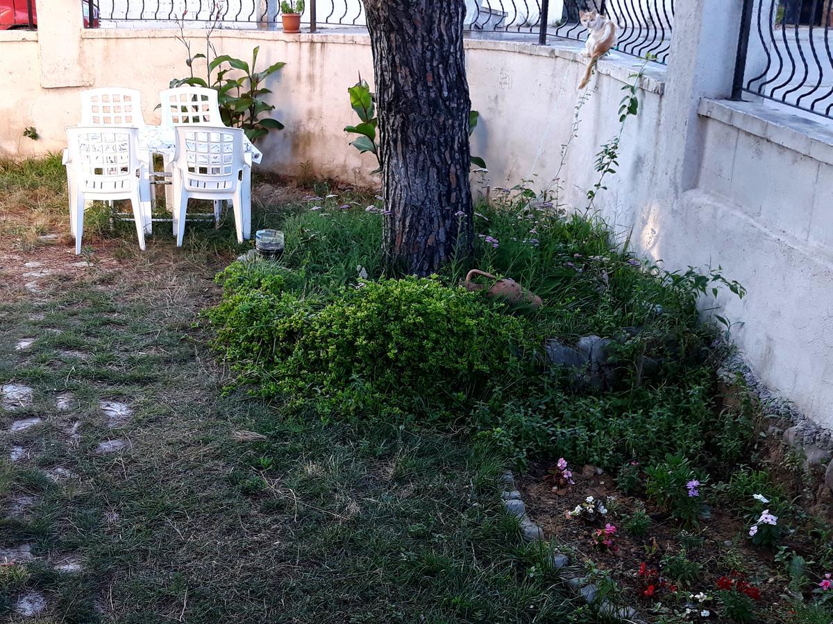 Cerit Pansiyon İmroz المظهر الخارجي الصورة